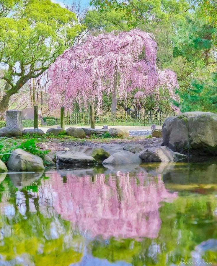 Tsurui Goshonishi 鶴居御所西 Vila Quioto Exterior foto